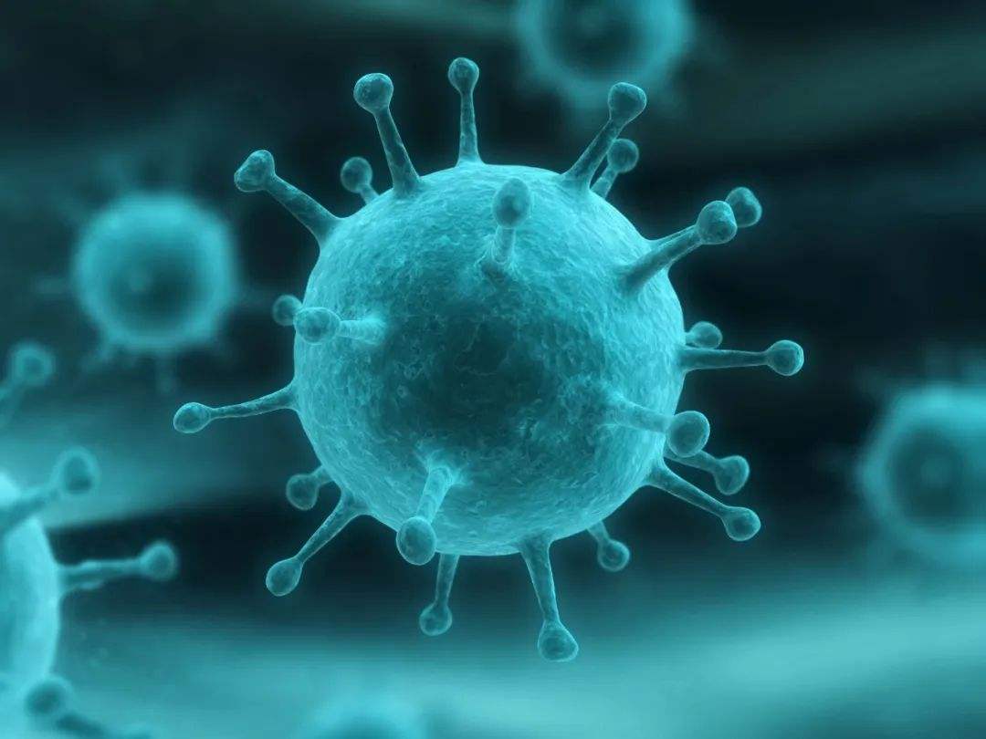 病毒高发期，如何增强孩子免疫力？